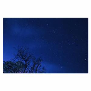 中文字幕精品久久久久熟女
